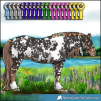 Horse Color:White Spotted Liver Chestnut Appaloosa Rabicano