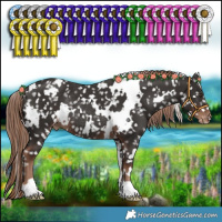 Horse Color:White Spotted Liver Chestnut Snowflake VarnishRabicano 