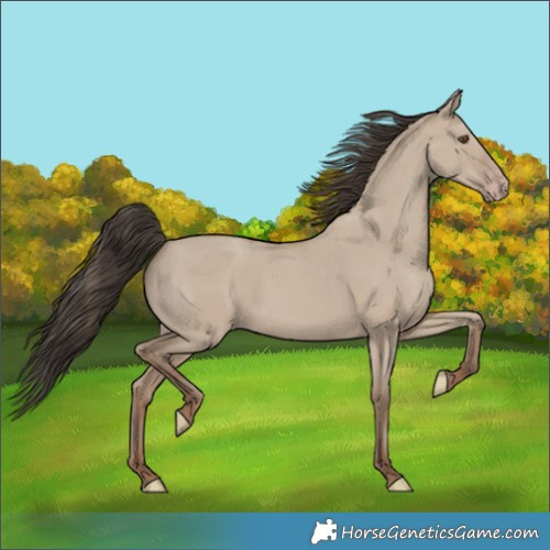 Horse Color:Classic Champagne Dun 