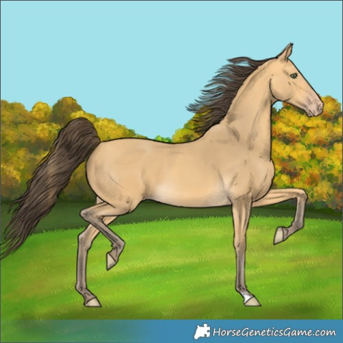 Horse Color:Amber Cream Champagne 