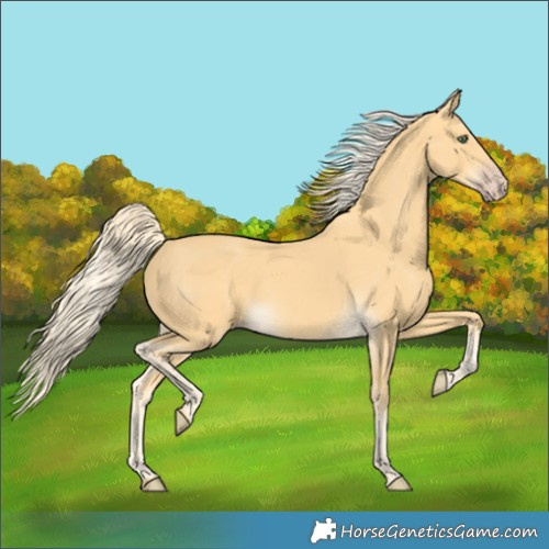 Horse Color:Gold Cream Champagne 