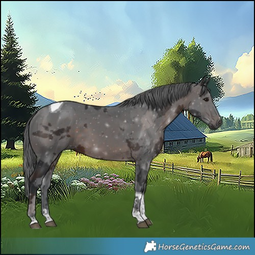 Horse Color:Brown Merle Tobiano