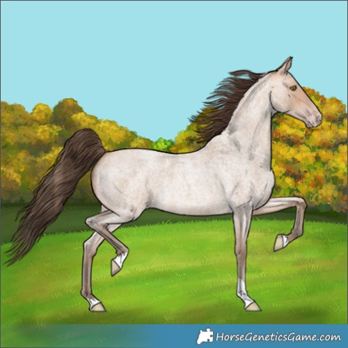 Horse Color:Amber Champagne Roan Tobiano 