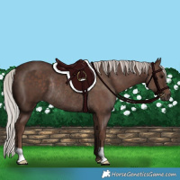 Horse Color:Silver Black Rabicano