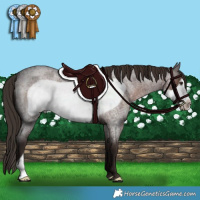 Horse Color:Liver Red Roan Frame 