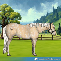 Horse Color:Palomino Leopard  and Palomino 