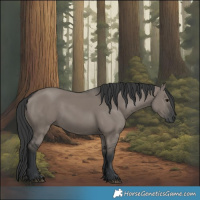 Horse Color:Grullo