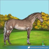Horse Color:White Spotted Silver Brown Dun Tobiano 