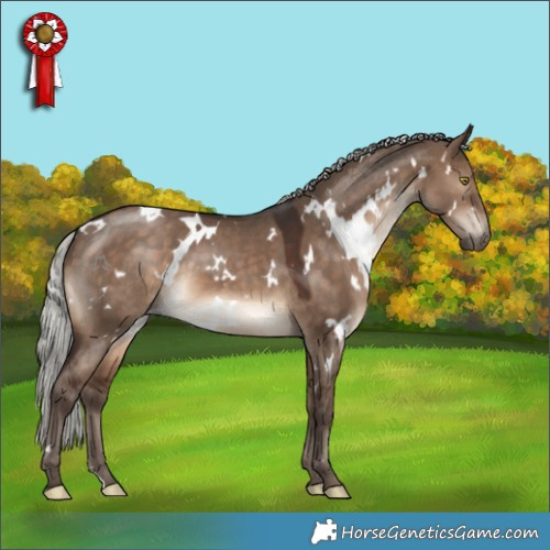 Horse Color:White Spotted Silver Brown Dun 