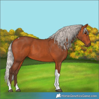 Horse Color:Silver Bay Tobiano 
