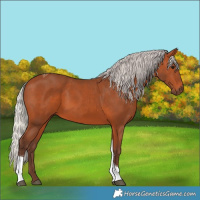 Horse Color:Silver Bay Tobiano