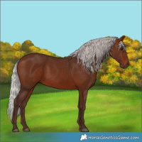 Horse Color:Silver Bay