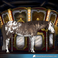 Horse Color:Liver Red Onyx Splash Blanket  and Liver Chestnut Splash Blanket Rabicano 
