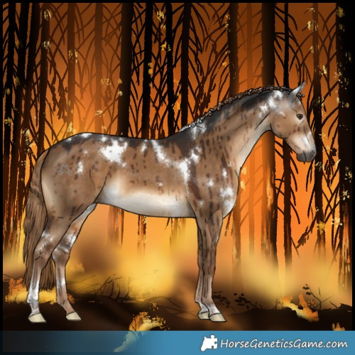Horse Color:Gray White Spotted Liver Red Dun Tobiano Brindle 