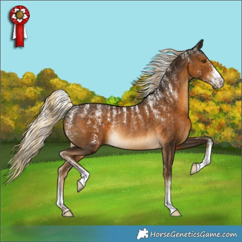 Horse Color:Powder White Chocolate Palomino Rabicano 