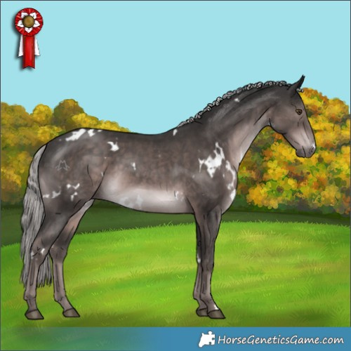 Horse Color:Platinum White Spotted Liver Chestnut Mushroom Rabicano 