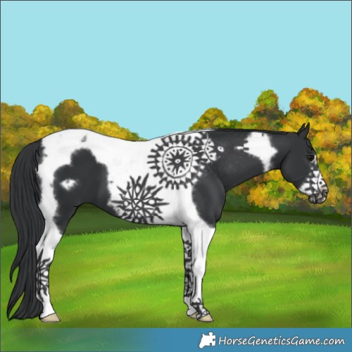 Horse Color:Black Tobiano Frame 