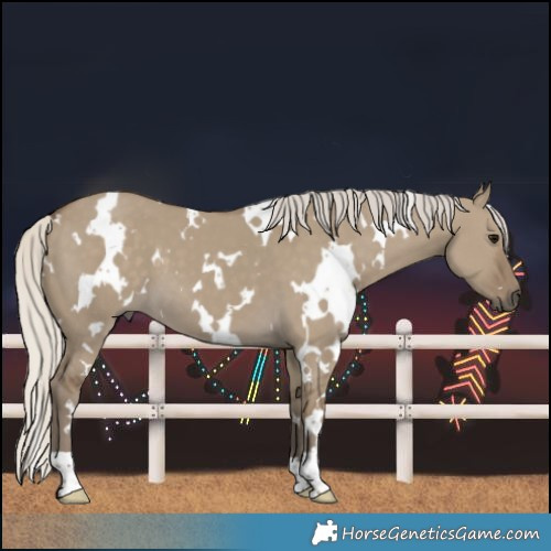 Horse Color:White Spotted Silver Smoky Grullo 