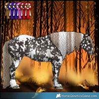 Horse Color:White Spotted Liver Chestnut Snowflake VarnishRabicano 