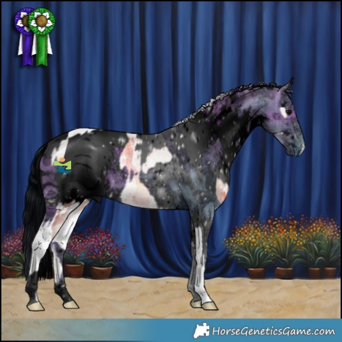 Horse Color:Plaid White Spotted Silver Brown Ice Onyx Tobiano and ERROR: UNKNOWN ANOMALY