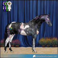 Horse Color:Plaid White Spotted Silver Brown Ice Onyx Tobiano and ERROR: UNKNOWN ANOMALY
