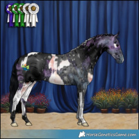 Horse Color:Plaid  White Spotted Silver Brown Ice Onyx Tobiano  and ERROR: UNKNOWN ANOMALY