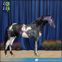 Horse Color:Plaid  White Spotted Silver Brown Ice Onyx Tobiano  and ERROR: UNKNOWN ANOMALY