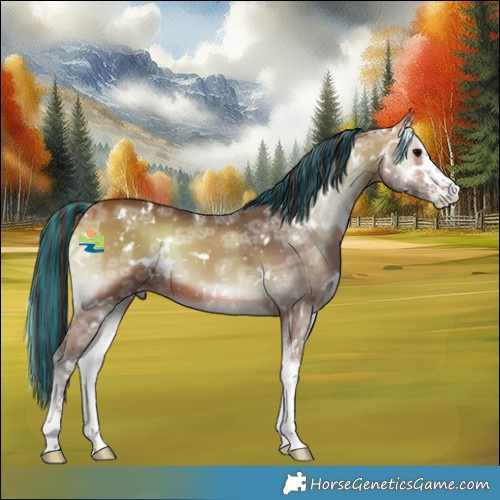 Horse Color:Painted White Spotted Bay Ice Onyx Sabino 