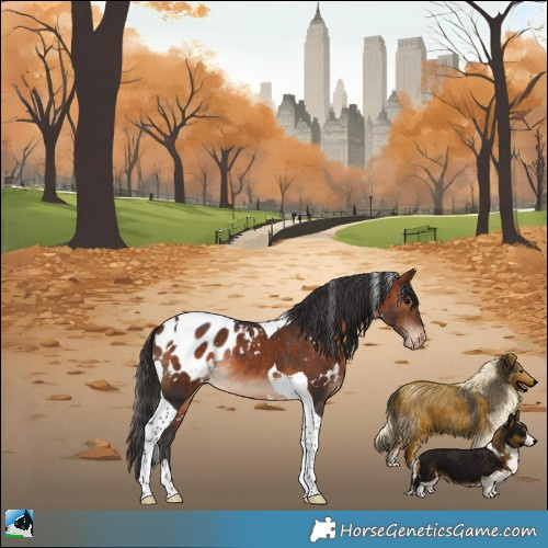 Horse Color:White Spotted Bay Tobiano Appaloosa Rabicano 