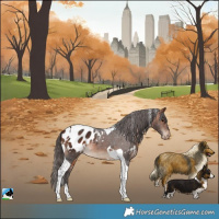 Horse Color:White Spotted Bay Tobiano Appaloosa Rabicano 