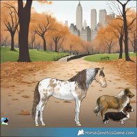 Horse Color:Buckskin Dun Tobiano Appaloosa Rabicano 