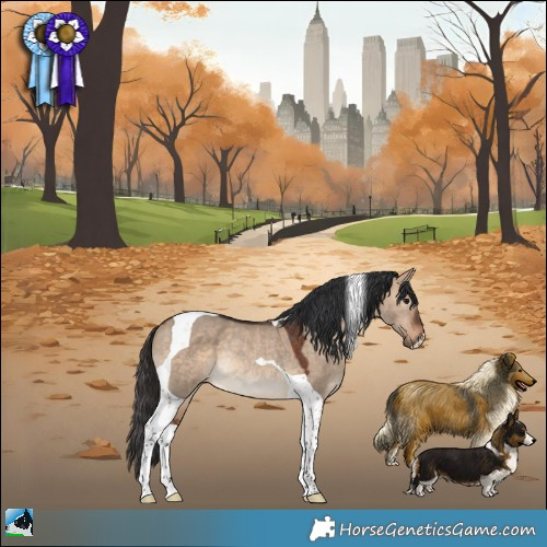 Horse Color:Bay Dun Tobiano Rabicano 