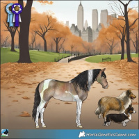 Horse Color:Bay Dun Tobiano Rabicano 