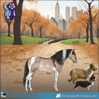 Horse Color:Bay Dun Tobiano Rabicano 