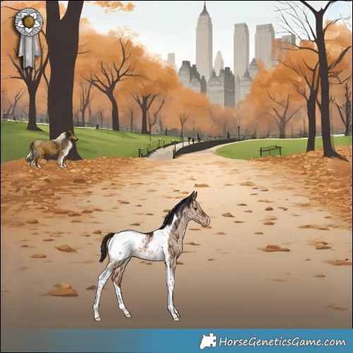 Horse Color:Liver Red Dun Tobiano Appaloosa Rabicano Brindle 