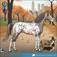 Horse Color:Bay Dun Splash Tobiano Appaloosa Rabicano