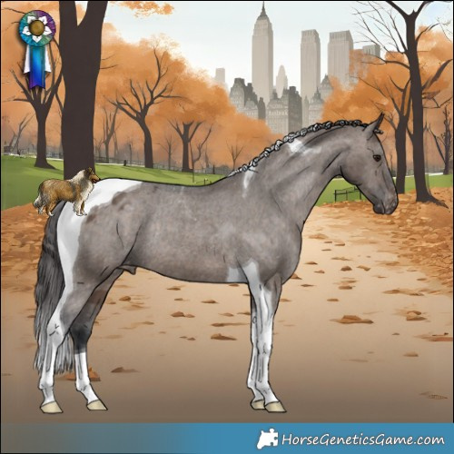 Horse Color:Brown Dun Tobiano Appaloosa Rabicano 