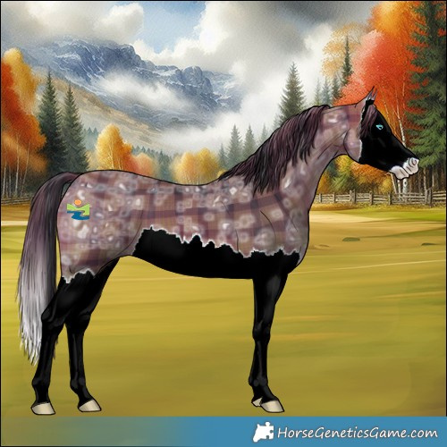 Horse Color:Plaid  Brown Ice Splash 