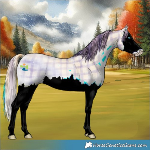 Horse Color:Plaid  Buckskin Ice Pearl Onyx Splash 