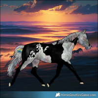 Horse Color:Nacre Watercolor Silver Bay Chinchilla Ice Roan Dun Tobiano Appaloosa 