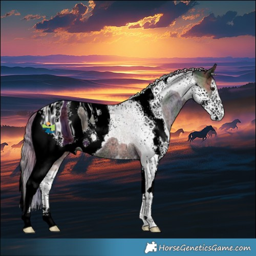 Horse Color:ERROR: UNKNOWN ANOMALY
