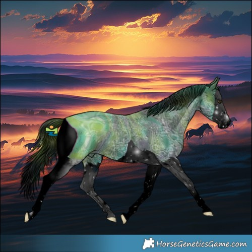 Horse Color:ERROR: UNKNOWN ANOMALY