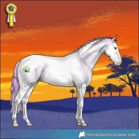 Horse Color:Watercolor Red Dun Roan Splash Tobiano 