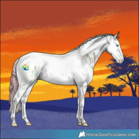 Horse Color:Liver Chestnut Ice Sabino Splash Tobiano 