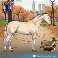 Horse Color:Palomino Roan Dun Tobiano