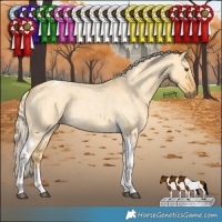 Horse Color:Palomino Roan Dun Tobiano