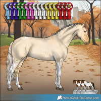 Horse Color:Palomino Roan Dun Tobiano 