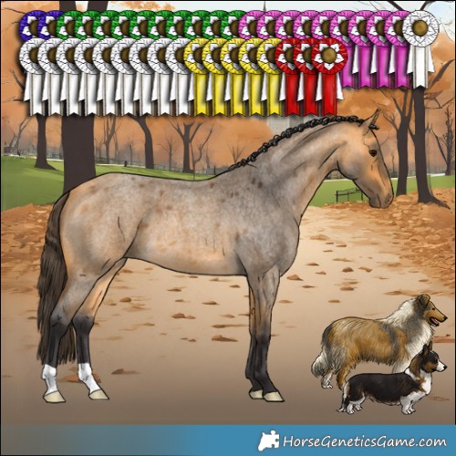 Horse Color:Buckskin Roan