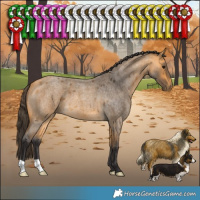 Horse Color:Buckskin Roan 