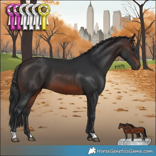 Horse Color:Brown 